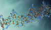 DNA strand of cell for computer virus evolution