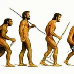 Evolution of Computers and Technology