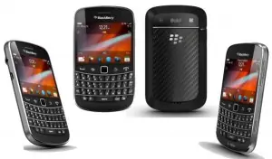 blackberry bold