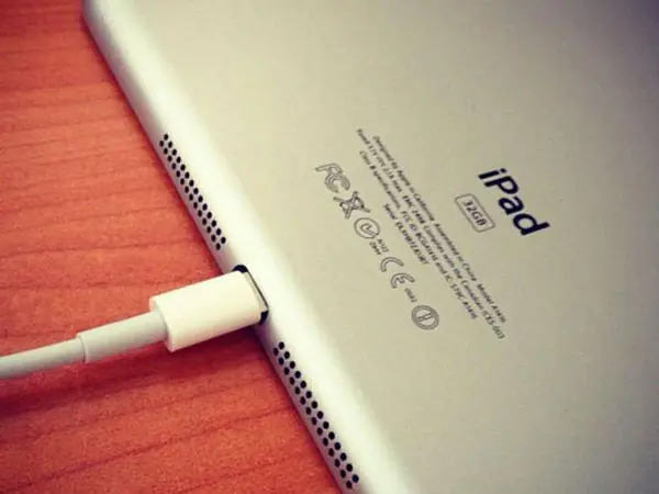 iPad Mini Dock Connector Dock Connector of the new iPad Mini