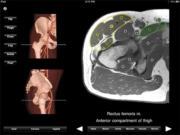 Medical App Monster Anatomy