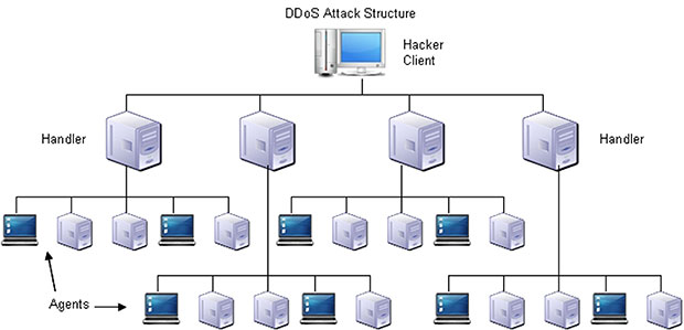 structure pyramid of Denial of Service attack bot network