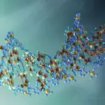 With the Evolution of the Internet, are Viruses Evolving as Well?