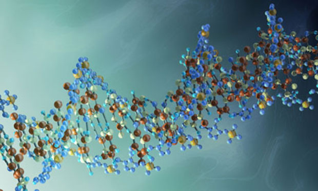 DNA strand of cell for computer virus evolution