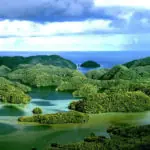 Indonesia Travel Tips: Wildlife, Beaches and Food