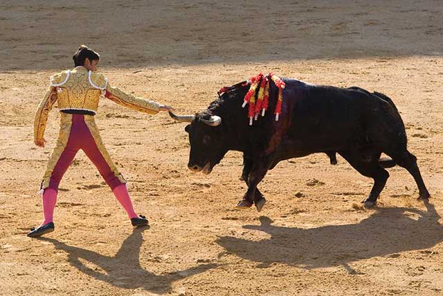 one of many tourist attractions are Spanish bullfights all over Spain and especially in Madrid