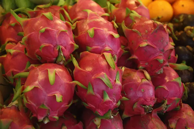 Thai event at the Chanthaburi Fruit Festival Day
