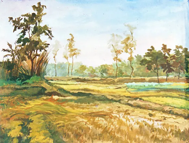 Climate of Delhi, India landscape and India's climate reflect the culture and art of modern Delhi in India
