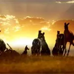 Travel Australia – Top 7 Things To Do