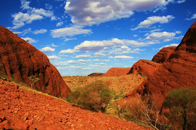 travel to beautiful places in Australia and experience kangaroos in Outback