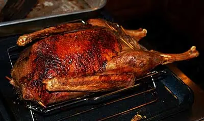 American christmas tradition party travel Goose