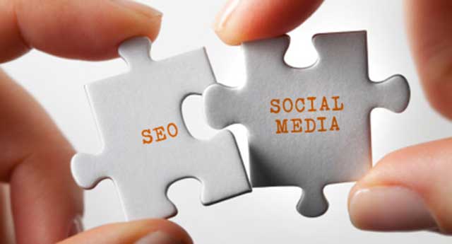 content is king to provide value to daily userbase and share every article in social media for perfect seo