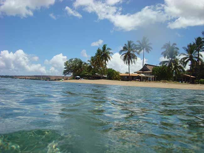 beautiful island and beach of Maui