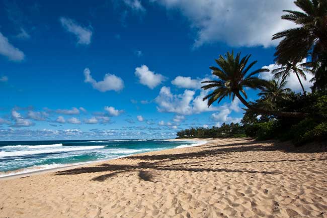 Hawaiian North Shore, Oahu travel guide and party destinations
