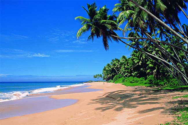 Indian beach of paradise islands Goa Baga beach