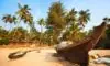 Best Places to go for a Rave Party in Goa