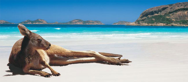 Top Beaches of Australia