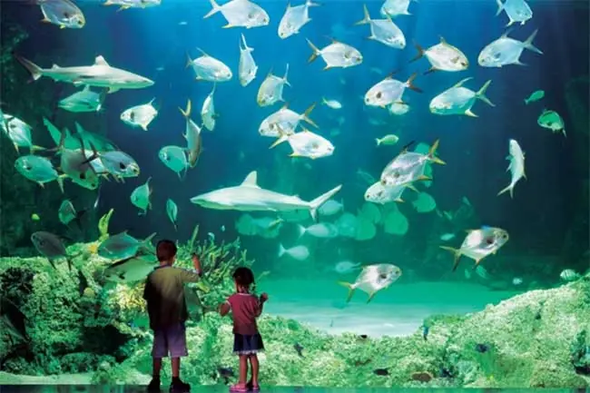 Sydney Aquarium
