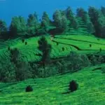 Hill Stations In Karnataka