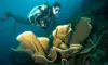Raja Ampat Livaboard Diving – Top 6 Diving Sites You Can Visit