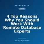 4 Top Reasons Why You Should Work With Remote Database Experts