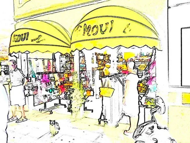 Shopping Experience