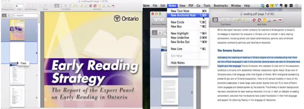 Skim PDF