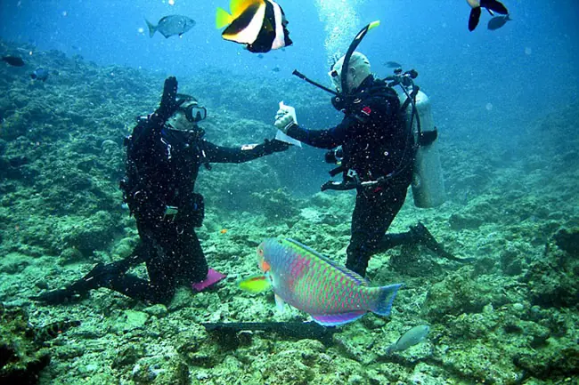 divers