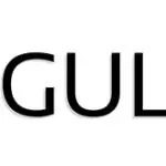 Prevalent Errors AngularJS Developers Commit Frequently