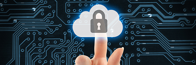 virtual cloud security