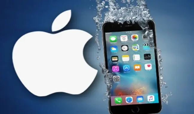 apple iphone 7 and 7 Plus