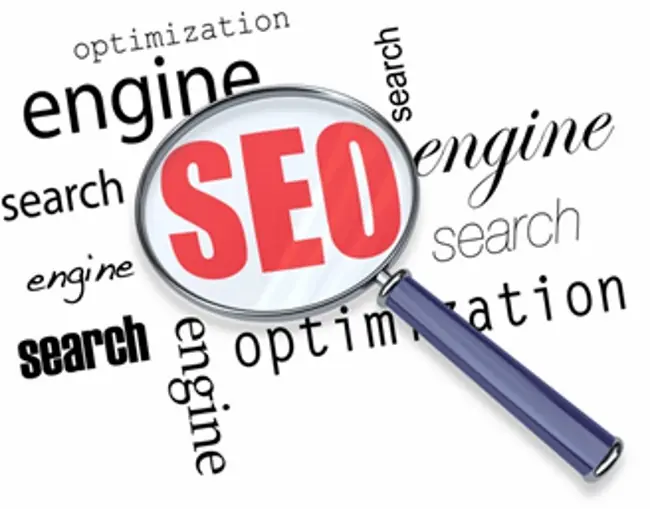 seo search optimization