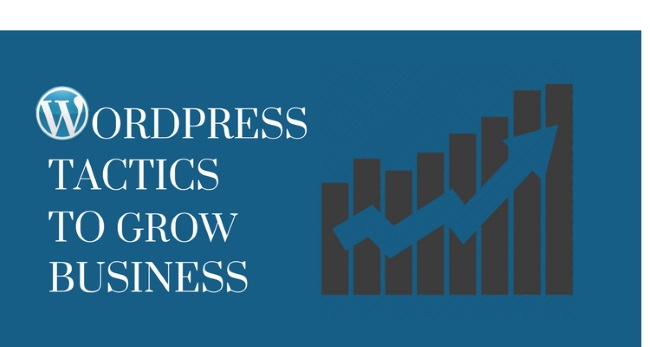wordpress tactics to grow business 2017