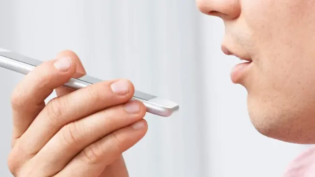 Voice SEO