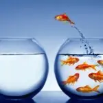 Voluntary and Involuntary Customer Churn: What You Need to Know