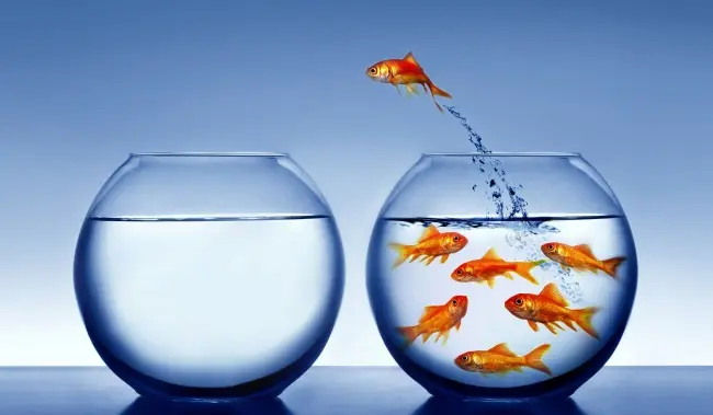 Customer Churn pictured