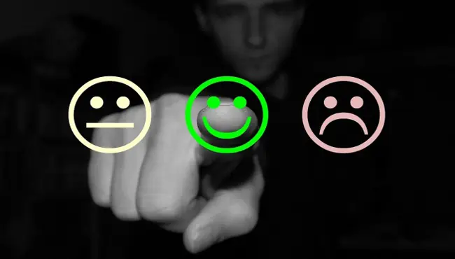 Crate positive reviews