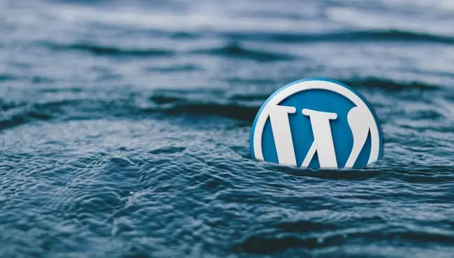 wordpress themes