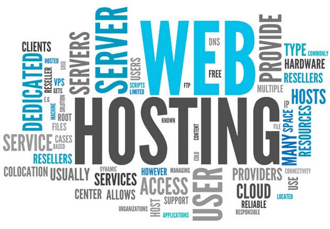 requirements for budget web hosting