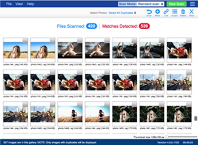 Duplicate Photo search and remover
