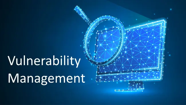 Vulnerability Management aspects