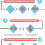How Blockchains Will Transform Healthcare