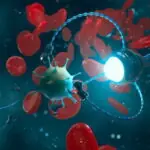 Little Robots for Carrying Drugs to Human Cells