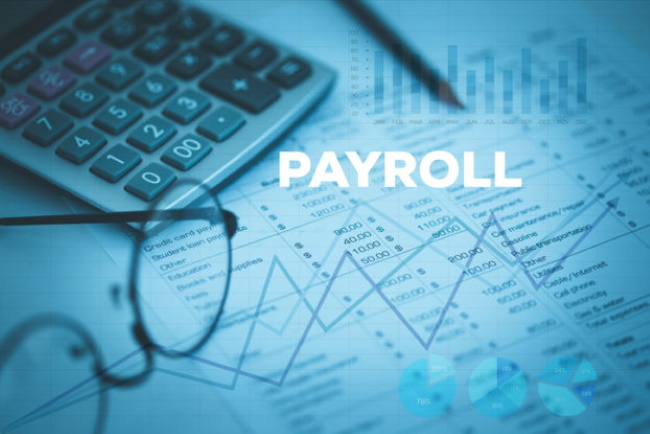5 Steps To Select The Best Online Payroll Software In India