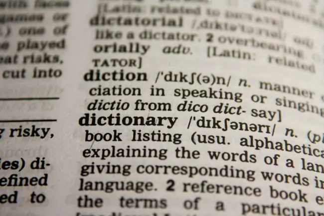 What makes professional enterprise translation software essential for your translation project management